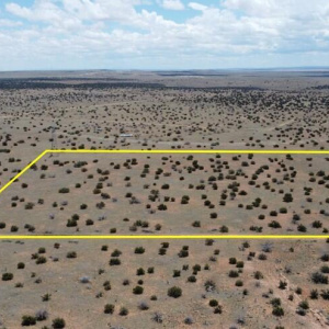 Lot Lines are Approximate