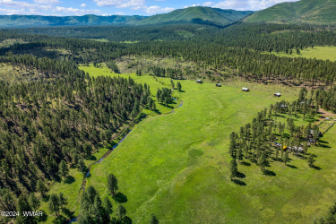 8523 WILTBANK RD, Alpine, Arizona 85920, ,Land,For Sale,WILTBANK RD,252636
