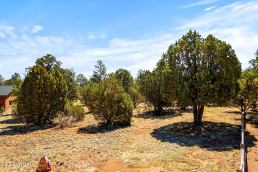 3327 Sawmill Ridge Loop, Heber, Arizona 85928, ,Land,For Sale,Sawmill Ridge,256463