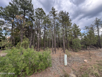 TBD White Mountain Blvd 212-09-10Q, Lakeside, Arizona 85929, ,Land,For Sale,White Mountain Blvd 212-09-10Q,256455