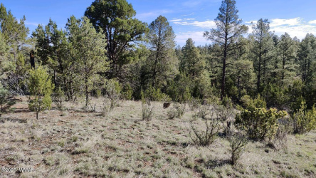 2316 Thunderbird Circle, Overgaard, Arizona 85933, ,Land,For Sale,Thunderbird,256456