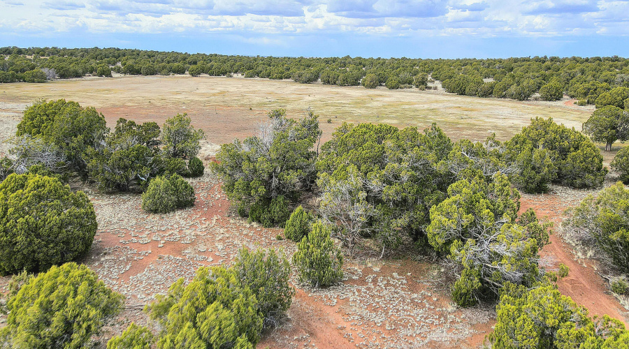 Echo Court 2.85 Acres of Land