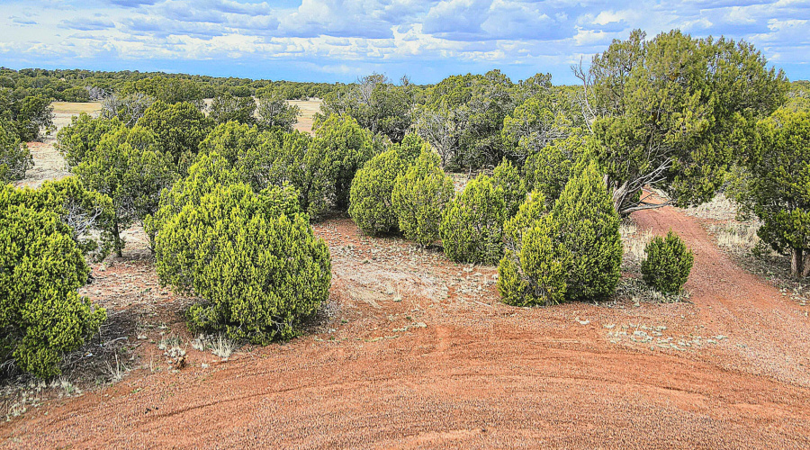 Echo Court 2.85 Acres of Land