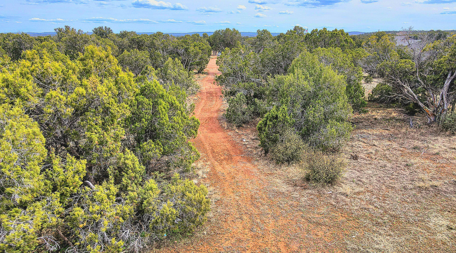 Echo Court 2.85 Acres of Land