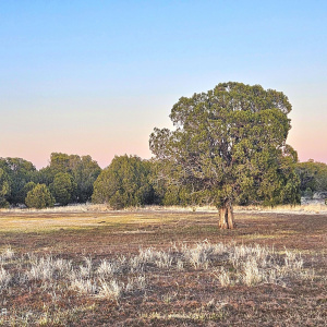 Echo Court 2.85 Acres of Land