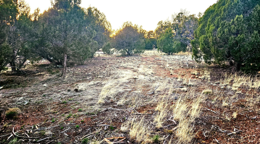 Echo Court 2.85 Acres of Land Sunset