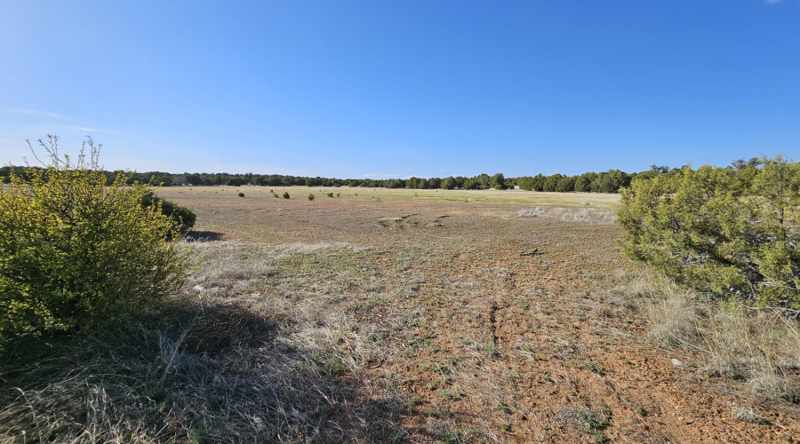 Echo Court 2.85 Acres of Land