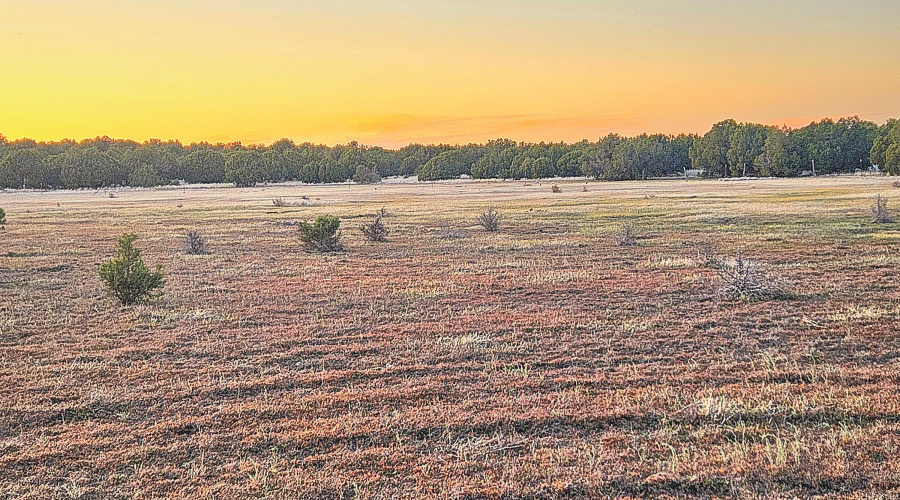 Echo Court 2.85 Acres of Land Sunset