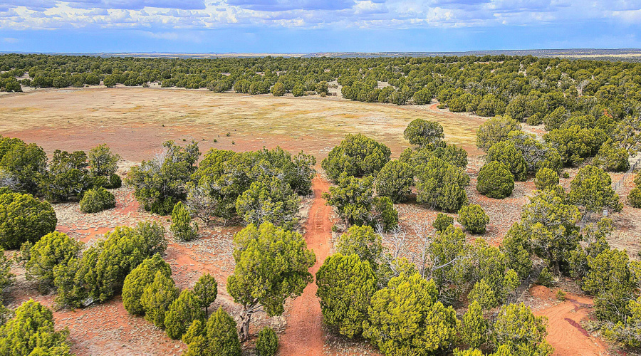 Echo Court 2.85 Acres of Land