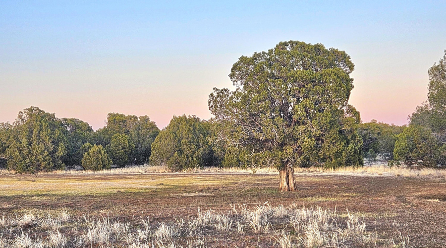 Echo Court 2.85 Acres of Land