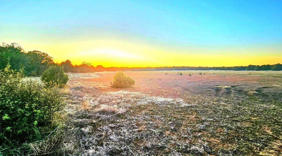 Echo Court 2.85 Acres of Land Sunset