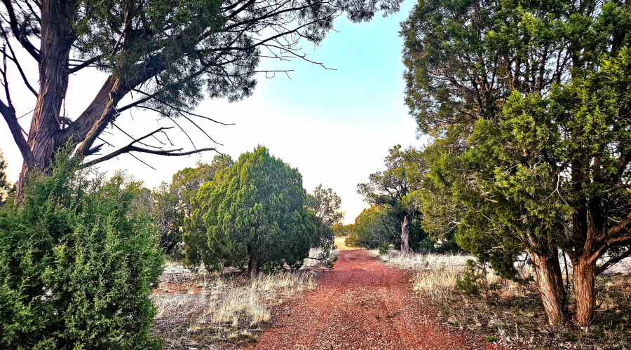 Echo Court 2.85 Acres of Land