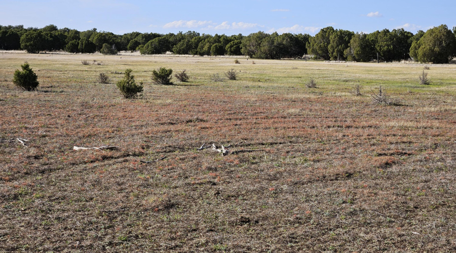 Echo Court 2.85 Acres of Land