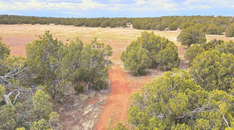 Echo Court 2.85 Acres of Land