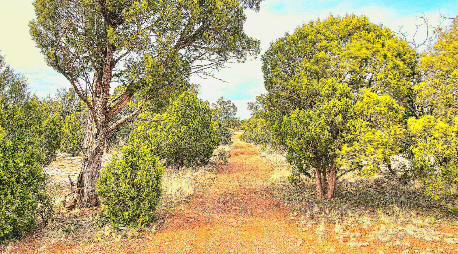 Echo Court 2.85 Acres of Land