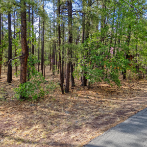 7202 Tall Pine Drive, Pinetop