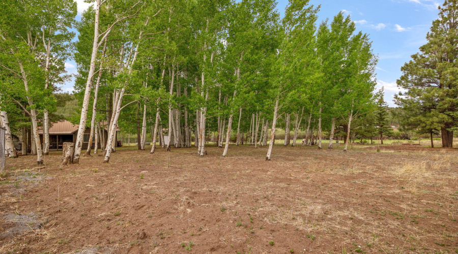 135MainSt-Greer-AZ-20