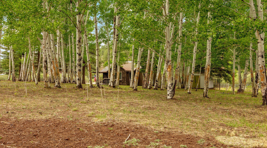 135MainSt-Greer-AZ-22