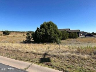 1120 Ridgeway Place, Show Low, Arizona 85901, ,Land,For Sale,Ridgeway,256501