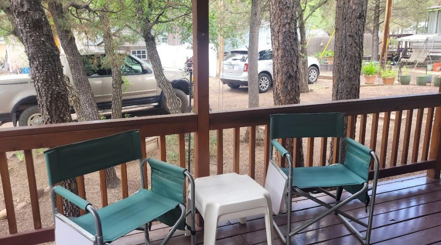 20250609_120901 Deck & Trees