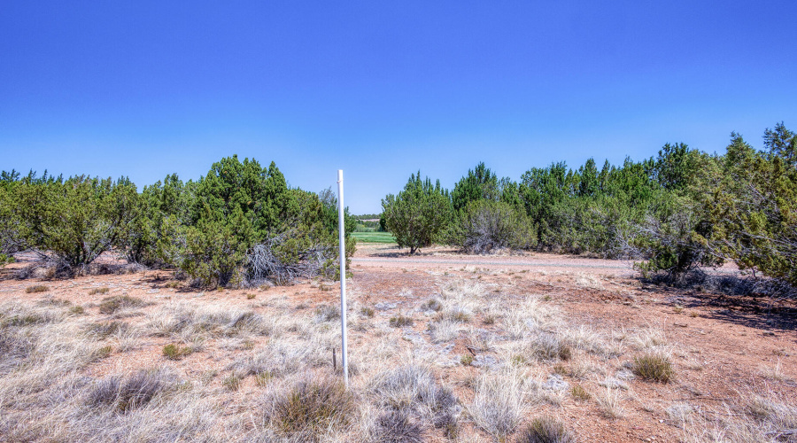 photo(14) land jenn 061225