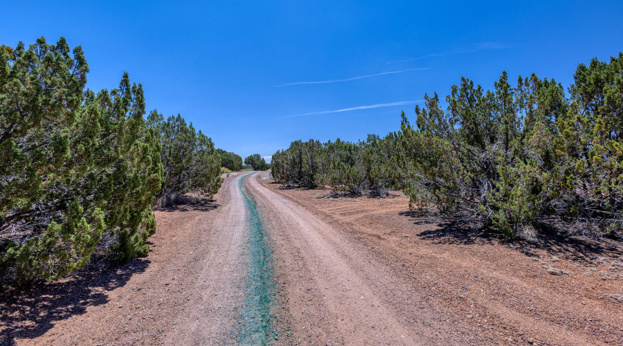 photo(16) land jenn 061225