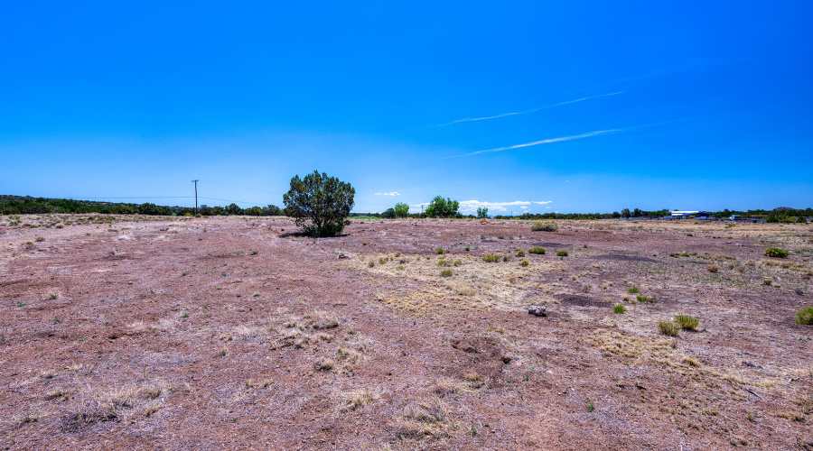 photo(18) land jenn 061225