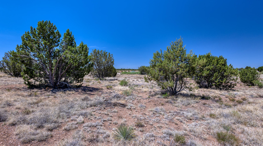 photo(20) land jenn 061225