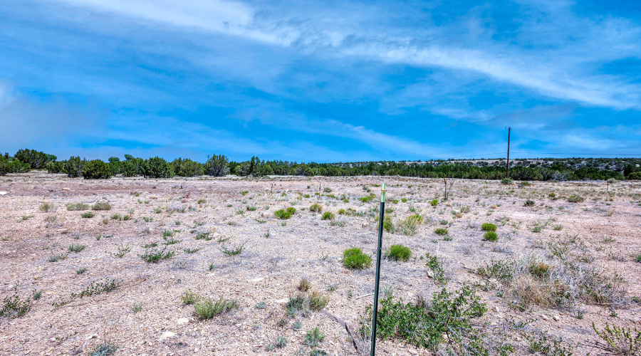 photo(21) land jenn 061225