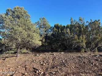 lot 33 Ridgeview, Vernon, Arizona 85940, ,Land,For Sale,Ridgeview,256541