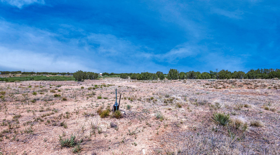 photo(24) land jenn 061225