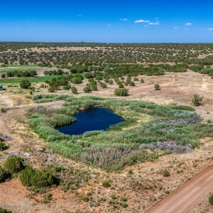 Aerial Shot