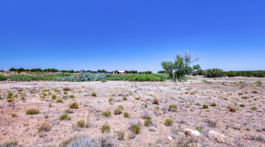 photo(12) land jenn 061225