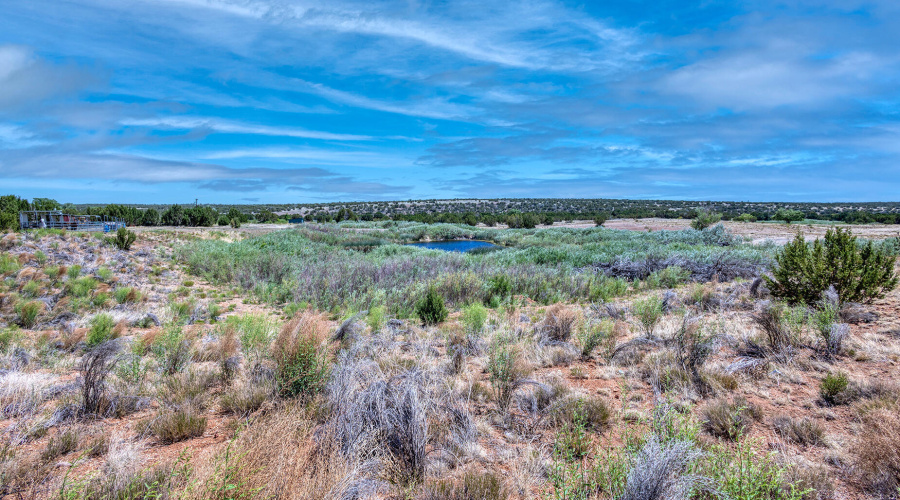 photo(13) land jenn 061225