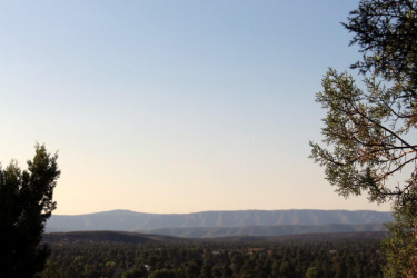 1128 Sycamore Circle, Payson, Arizona 85541, ,Land,For Sale,Sycamore,90522