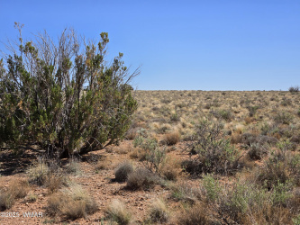 7761 & 7809 Miller Trail, Snowflake, Arizona 85937, ,Land,For Sale,& 7809 Miller,256554