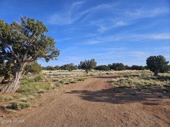 110 N Cty Rd 5578, Concho, Arizona 85924, Bedrooms, ,Bathrooms,Residential,For Sale,N Cty Rd 5578,250590