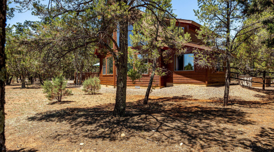 2796ChandelleLn-Overgaard-AZ-3