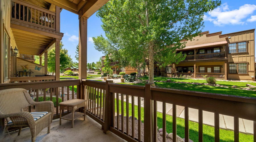 2391QuarterHorseTrl-Overgaard-5