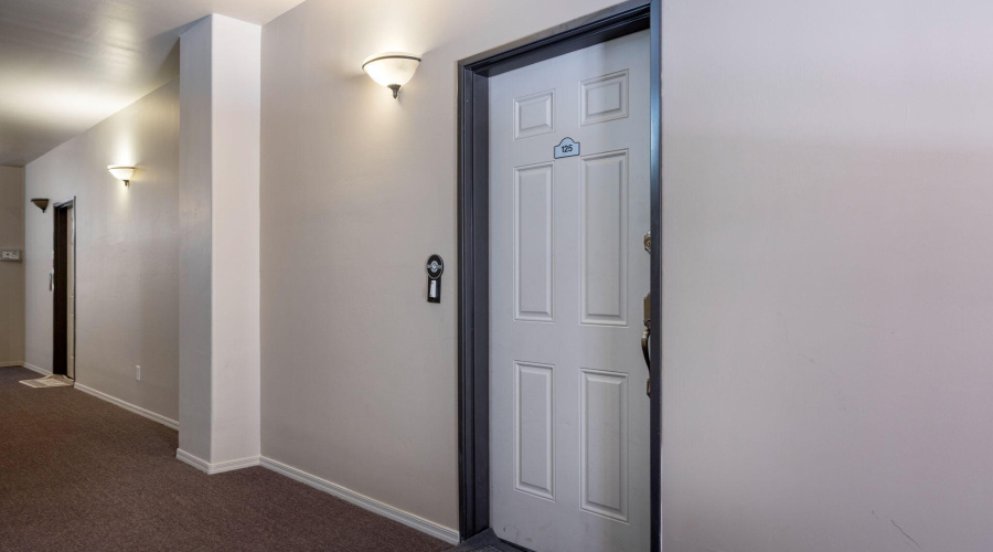 2391QuarterHorseTrl-Overgaard-7