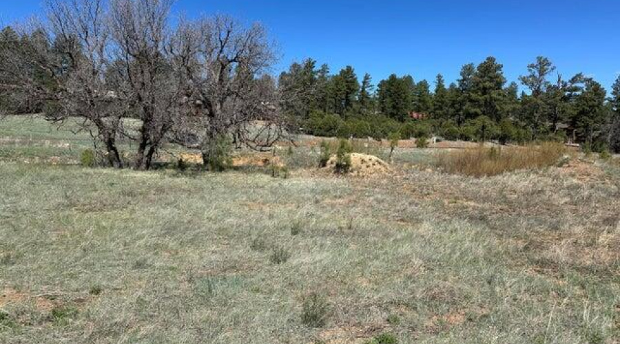 20240429224643508571000000-o