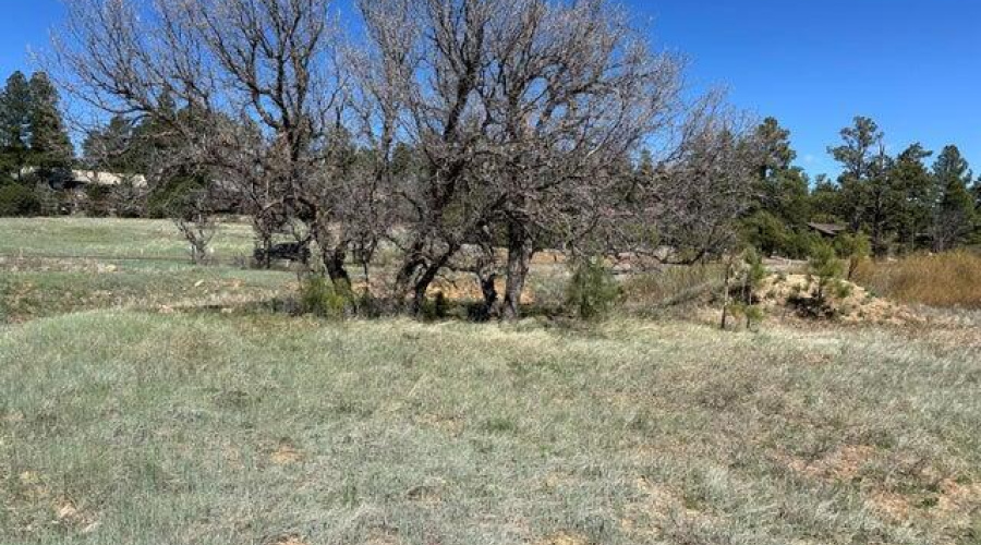 20240429224715166884000000-o