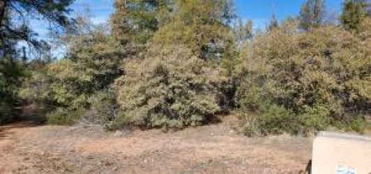 612 Ponderosa Circle, Payson, Arizona 85541, ,Land,For Sale,Ponderosa,92242