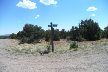 7856 Manzanita Court, Happy Jack, Arizona 86024, ,Land,For Sale,Manzanita,92423