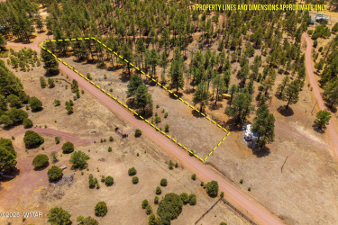 CR N2276, Nutrioso, Arizona 85932, ,Land,For Sale,N2276,256572
