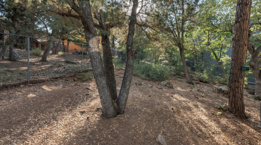 27-web-or-mls-TimberCreekImagery-27