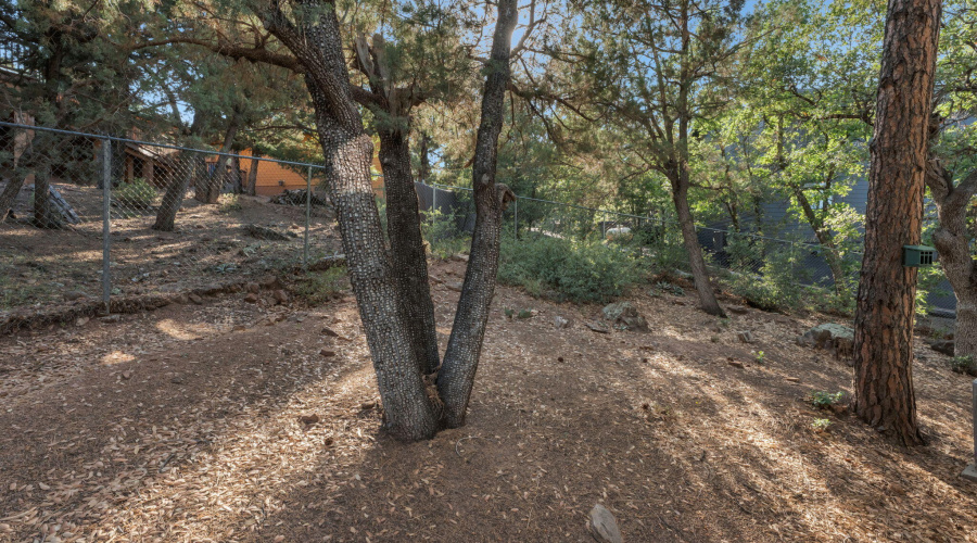 28-web-or-mls-TimberCreekImagery-28