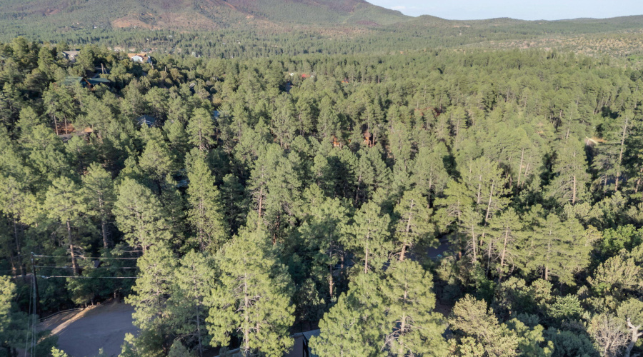 34-web-or-mls-TimberCreekImagery-36