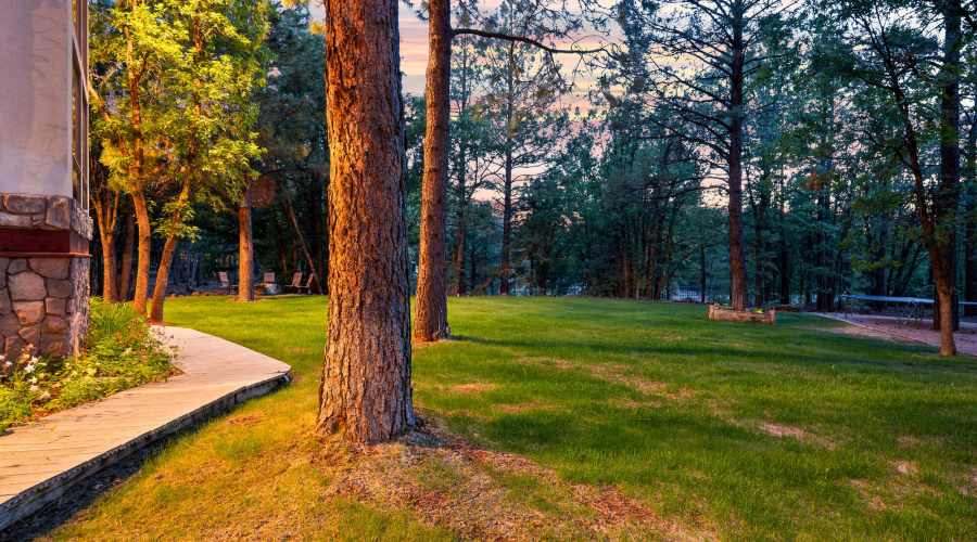 F twilight view toward the front