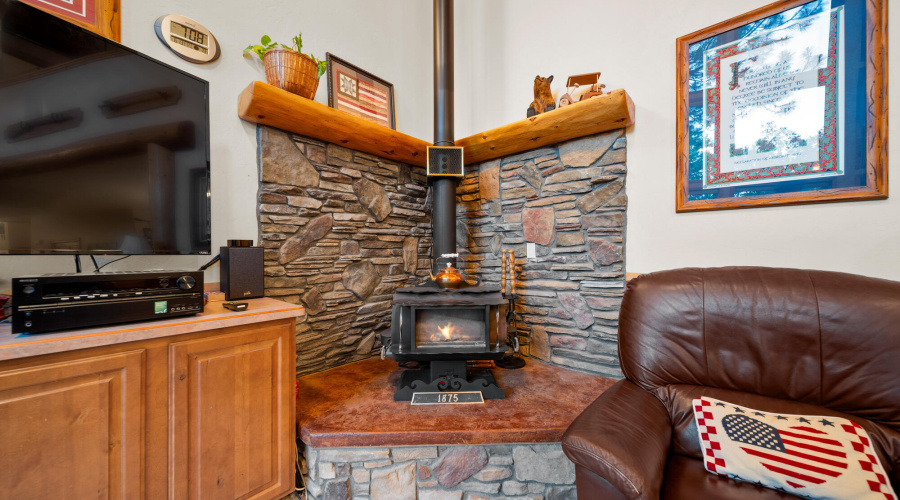 F family room wood burning stove